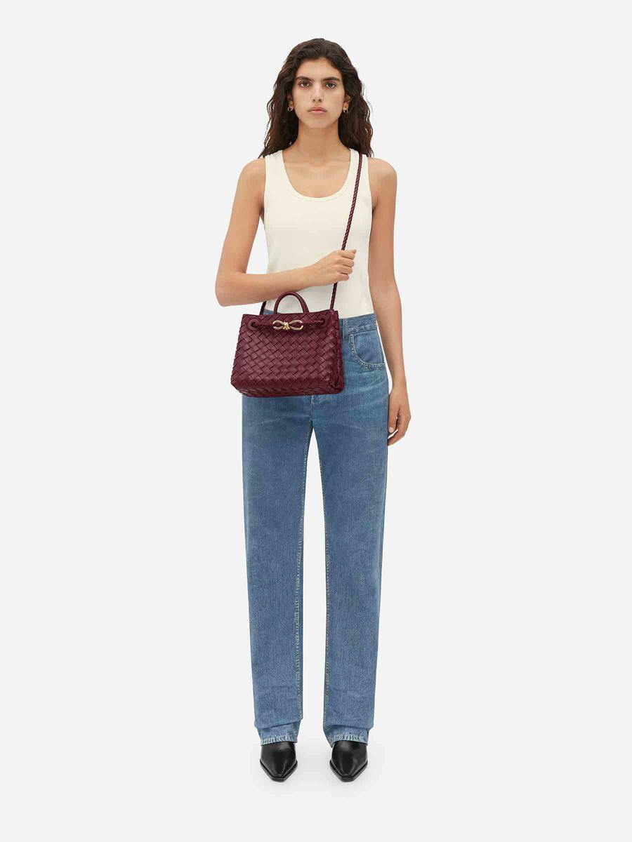 Bottega Veneta Small Andiamo Bag