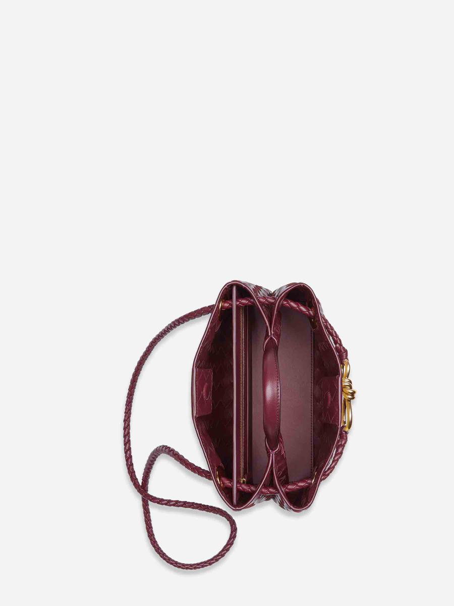 Bottega Veneta Small Andiamo Bag