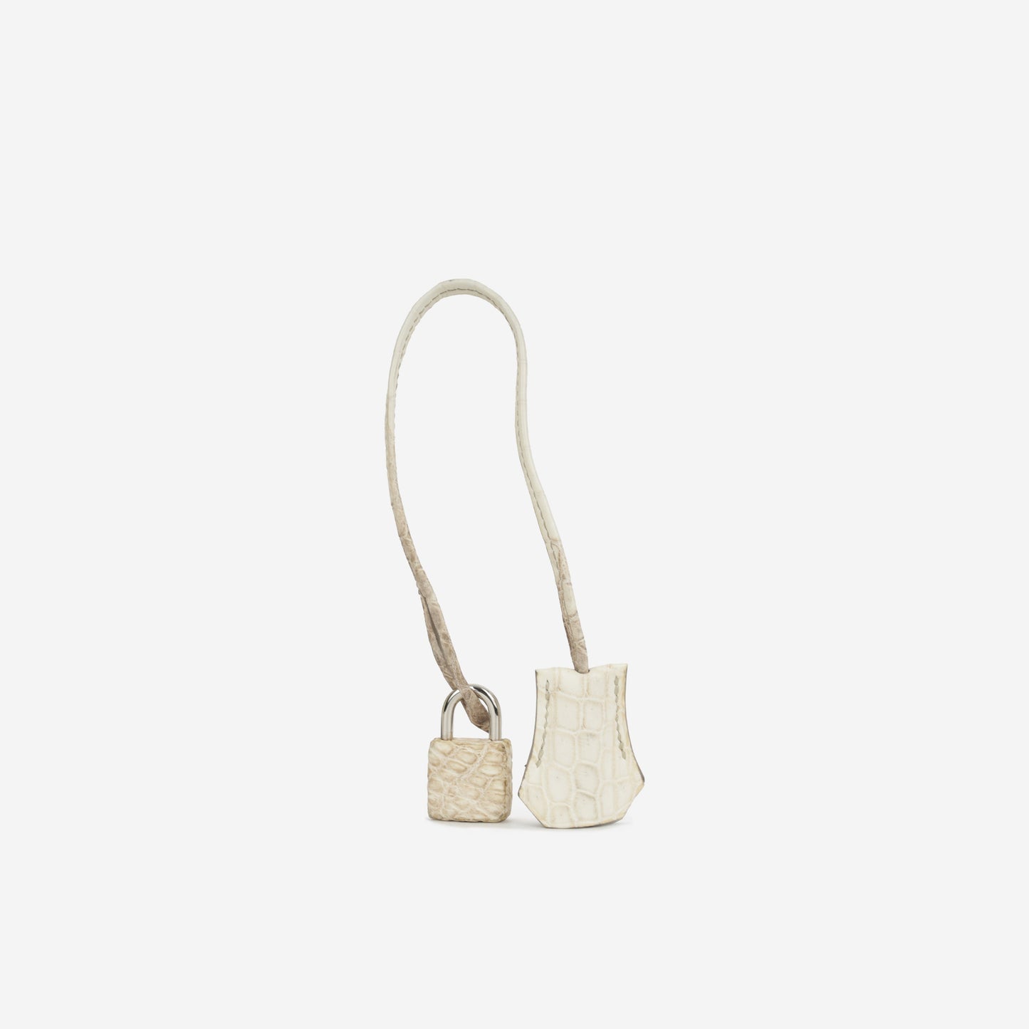 Birkin 35 - Himalayan Crocodile Niloticus